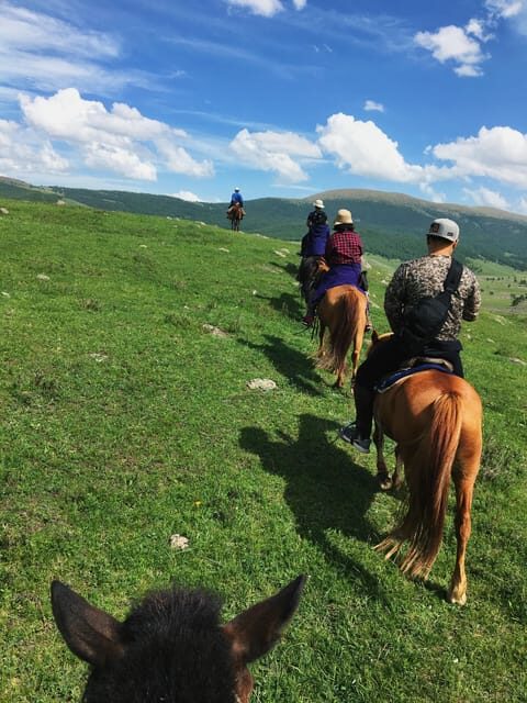 Horse riding experience in Terelj National park 1 day - Is This Tour Worth the Price?