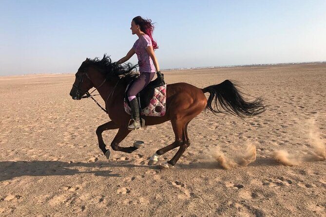 Horse Riding in Amazing Dessert With Transfer - Marsa Alam - What to Expect During the Ride