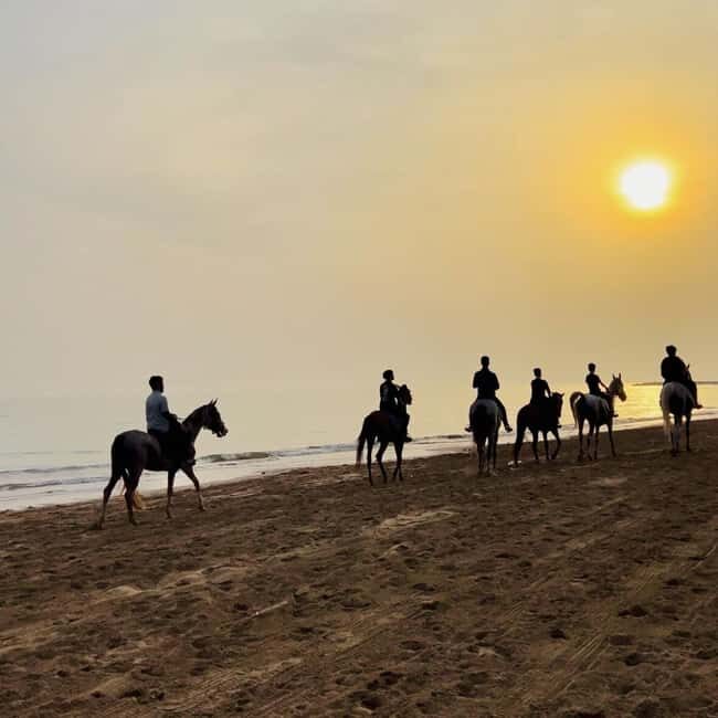 Horse riding in muscat beach - Authentic Moments and Genuine Hospitality