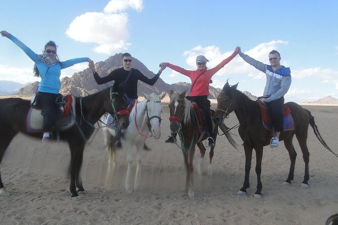 Horse riding in Sharm el sheikh desert - Why This Tour Offers Good Value
