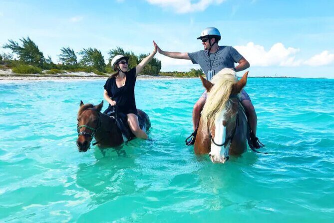 Horse Riding on Hurghada Desert and Beach - The Scenic Setting: Desert and Beach