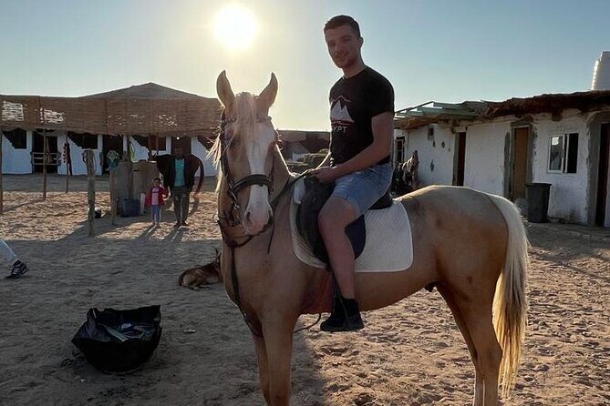 Horse Riding on the Beach And Desert 3 hours From Hurghada - The Practicalities and Value