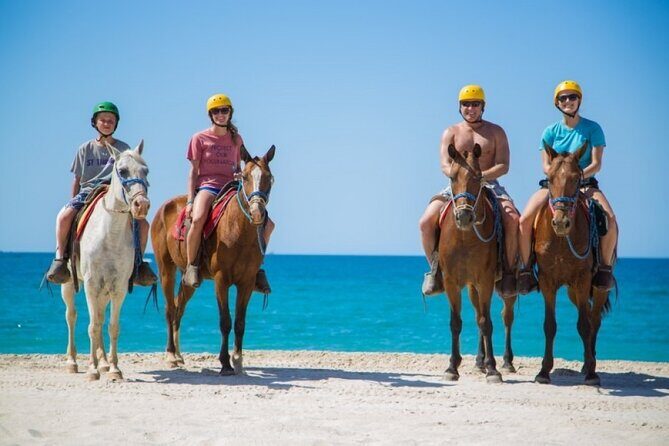 Horse Riding on the beach With Transfer From Sharm El Sheikh - What Travelers Say: Authentic Perspectives