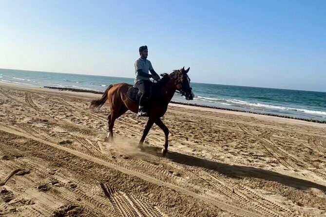 Horse Riding on the beach - Who Should Book This Experience?