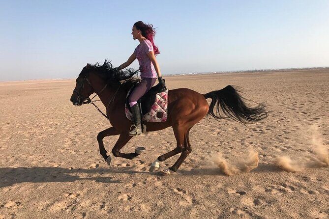 Horse Riding One hour At Amazing Desert With Transfer - Hurghada - Why This Tour Offers Great Value
