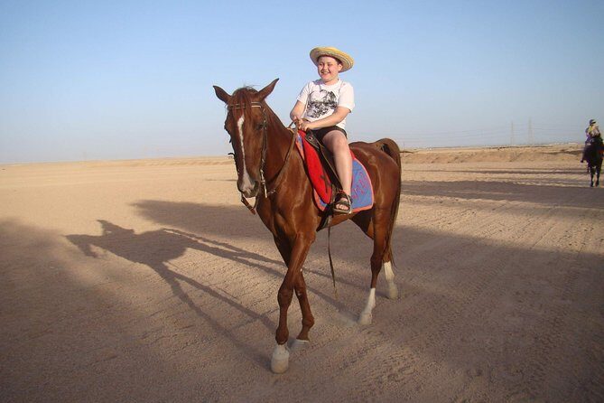 Horse Riding One Hour at Desert With Transfer - Sharm El Sheikh - Authentic Experiences and Traveler Insights
