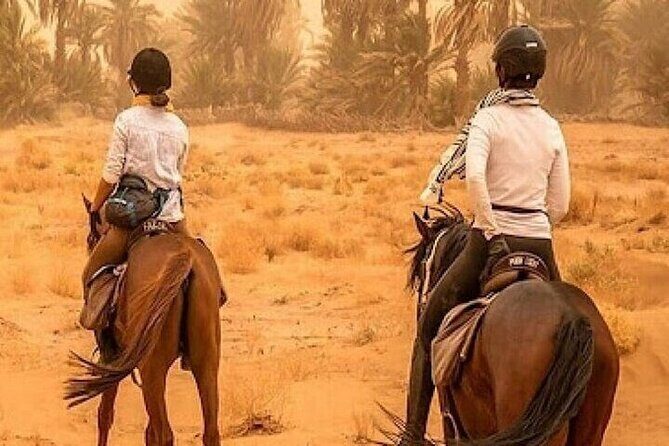 Horse Riding one hour Palmeraie Grove & Transfer - Marrakesh - The Experience: What You Can Expect
