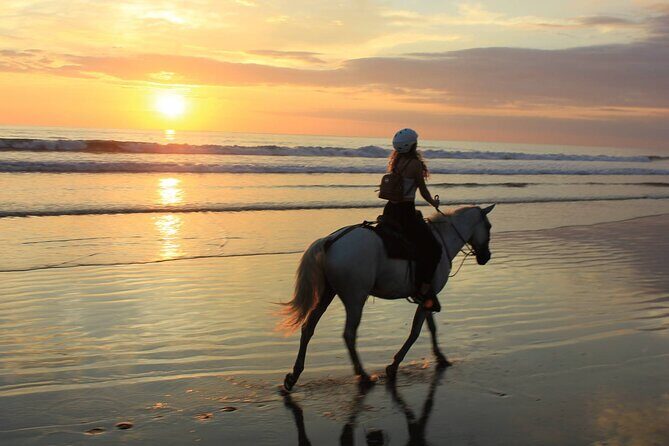 Horse Riding & Swimming Experience in the Sea & Desert - Hurghada - Practical Tips for Your Horse Riding & Swimming Adventure