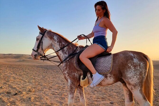 Horse Riding Tour 2 Hours on Sea And Desert & Transfer -Hurghada - Authentic Experiences & Insights from Reviews