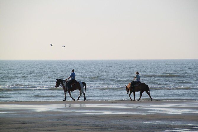 Horse Riding Tour 2 Hours Sea And Desert with Transfer - Hurghada - Authenticity and Safety