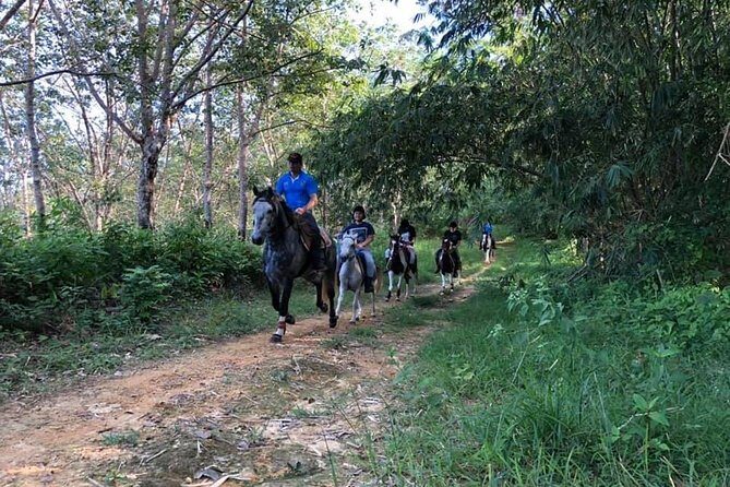 Horseback Riding 1 hour trail - The Ride Itself: What to Expect