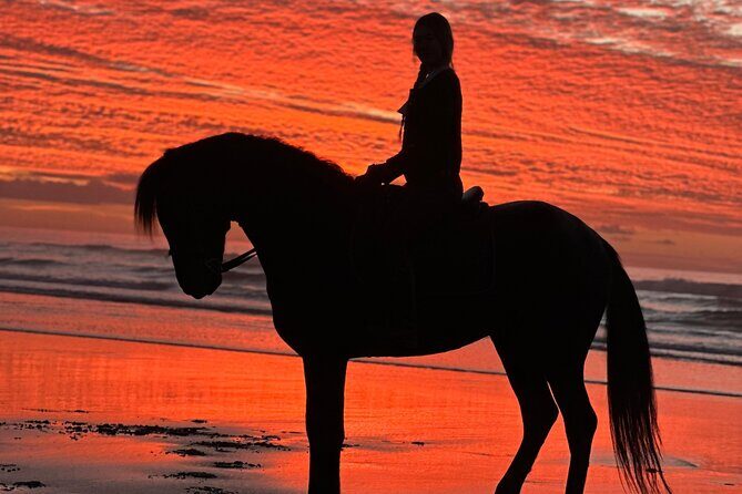 Horseback riding at sunset (2 hours) - Why the Price Is a Good Deal