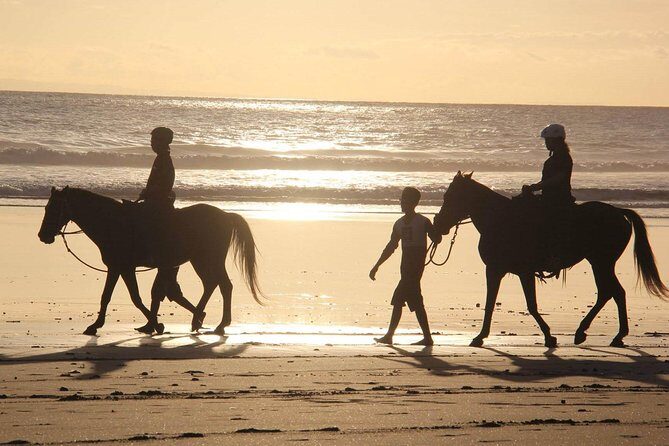 Horseback Riding in Djerba Lagoon