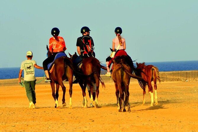 Horseback riding in Marsa Alam and Port Ghalib - Authentic Egyptian Culture Meets Equine Adventure