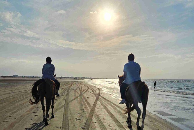 Horseback Riding Muscat Beach - A Closer Look at the Itinerary
