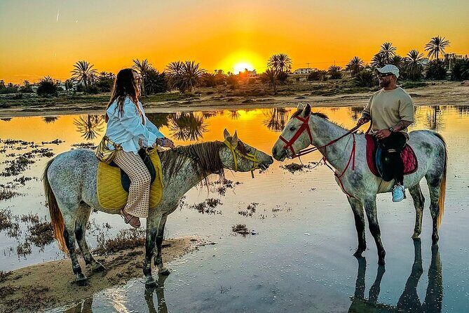 Horseback riding or camel at sunset in Djerba - The Itinerary and What to Expect