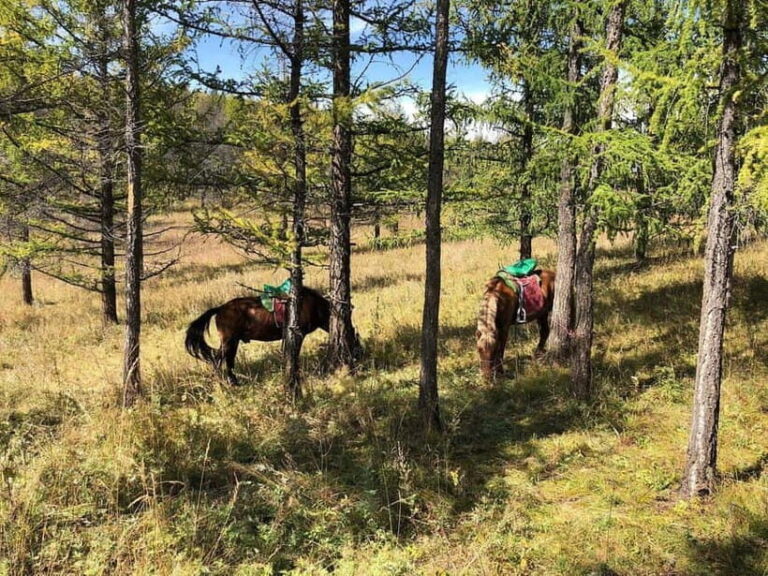 Horseback Riding Tour to Turtle Rock & Aryabal - The Practical Side: Logistics, Price, and Suitability