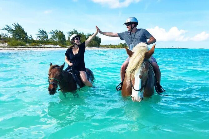 Horseback Riding with Pickup and Drop-off from Sharm El Sheikh - Authenticity and Value