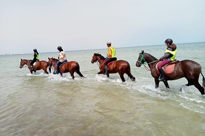Horseback riding with private transfer - Why This Tour Works