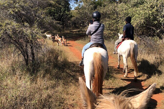Horseback Safari & Cable Car Ride from Johannesburg - Authenticity and Unique Aspects