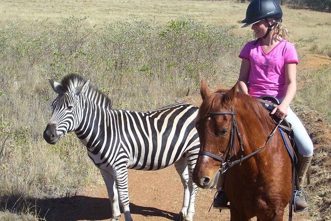 Horseback Safari Tour - Final Thoughts
