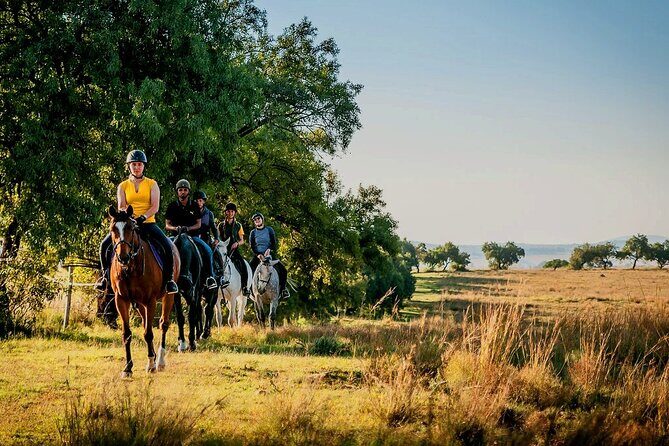Horseback Small-Group Trail Rides in Muldersdrift - The Sum Up