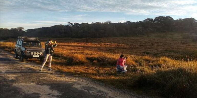 Horton plains: Discover real essence of central highland - What to Expect and How to Prepare