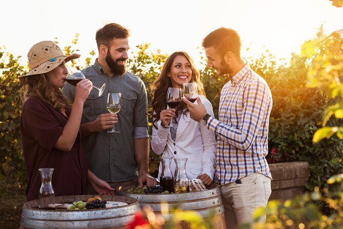 Hot Air Balloon and Wine Tasting Private Guided Tour - Practical Considerations
