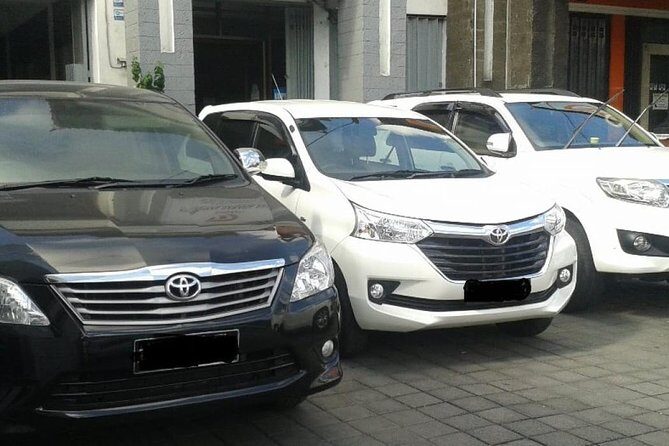 Hotel to Hotel:Bali Private Transfer (Daytime) - What Makes This Transfer Stand Out?