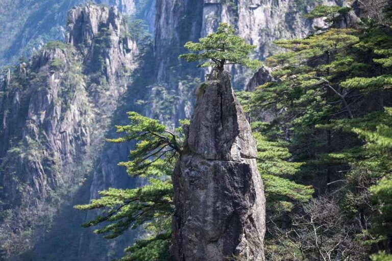 Huangshan: Mountain Top Day Trip with Cable Car and Pickup - The Itinerary in Detail