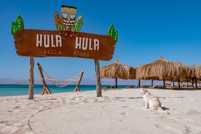Hula Hula Island Snorkeling Full Day Boat Trip with Lunch - Why We Think This Trip Works