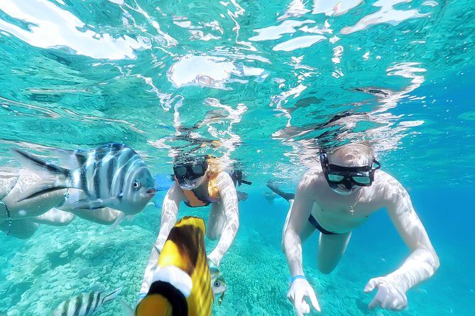 Hula hula Island Snorkeling Trip and Lunch & Water Sport-Hurghada - The Value for Money