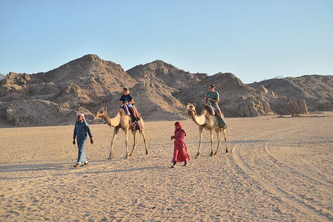 Hurghada: 4x4 Jeep Safari, Starwatching, Camel Ride & Dinner - Final Thoughts: Is This Tour for You?
