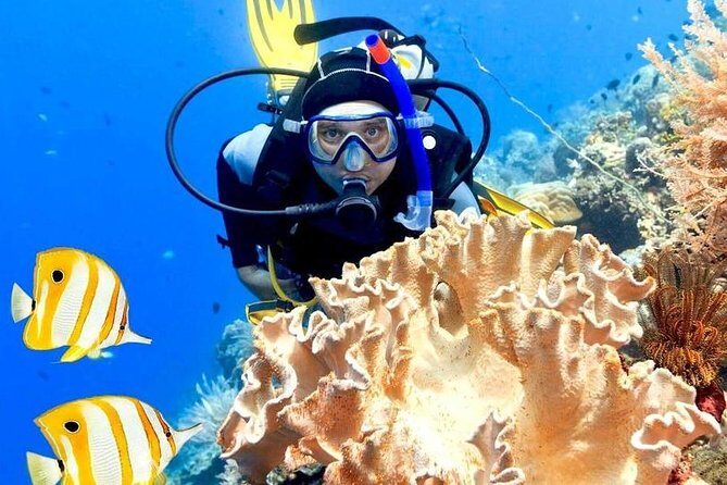 Hurghada: 6-Hour Dive Trip with Two Dive Sites - The Value of This Dive Trip