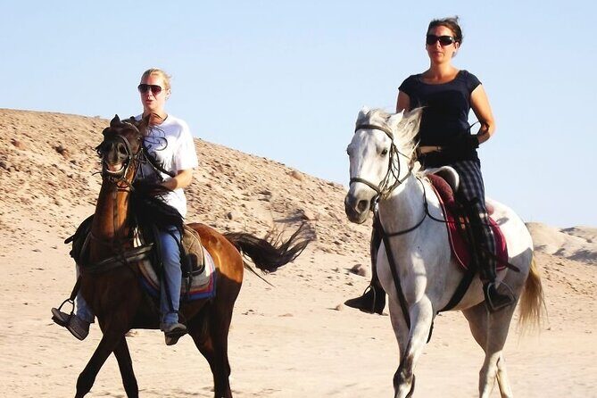 Hurghada: Arabian Desert and Sea Horseback Adventure - What the Itinerary Looks Like in Practice
