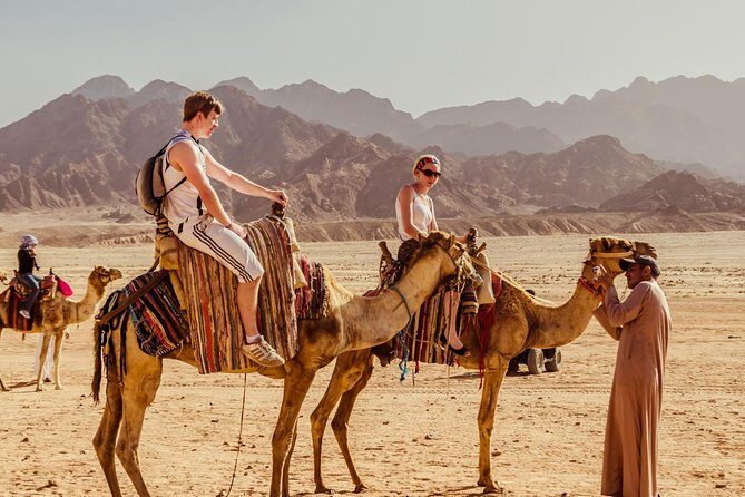 Hurghada: ATV Quad Safari& Bedouin Village Tour - The Value of This Tour