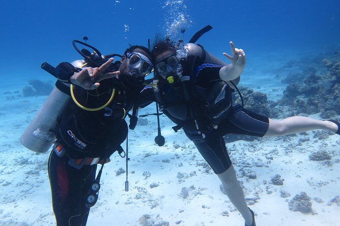 Hurghada Daily Scuba Dive Trip - Who Will Love This Trip?