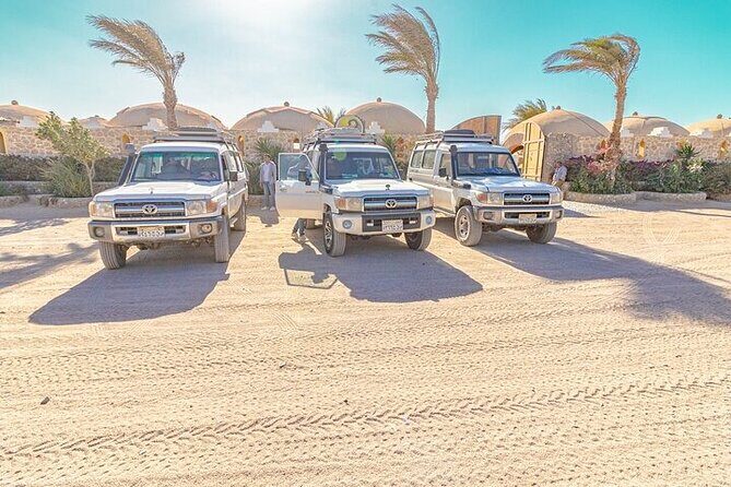 Hurghada Desert Adventure Jeep, Buggy & Quad with Dinner & Show - Authenticity and Cultural Touches