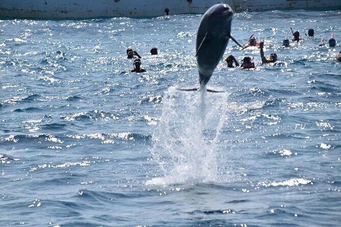 Hurghada Dolphin House: Full-Day Snorkeling & Boat Experience - What Makes This Tour Stand Out?