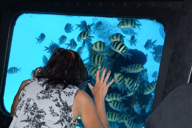 Hurghada Panorama Submarine Boat Trip with Snorkel and Drinks - Possible Drawbacks and Considerations