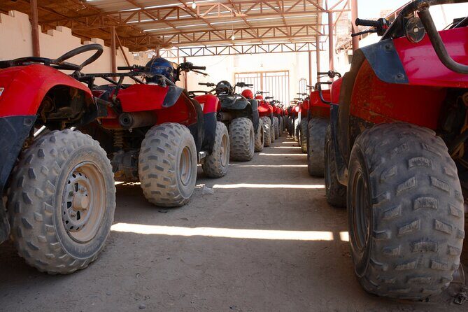 Hurghada Quad Bike Safari Full Day Trip to Sahara Park - The Value of This Desert Adventure