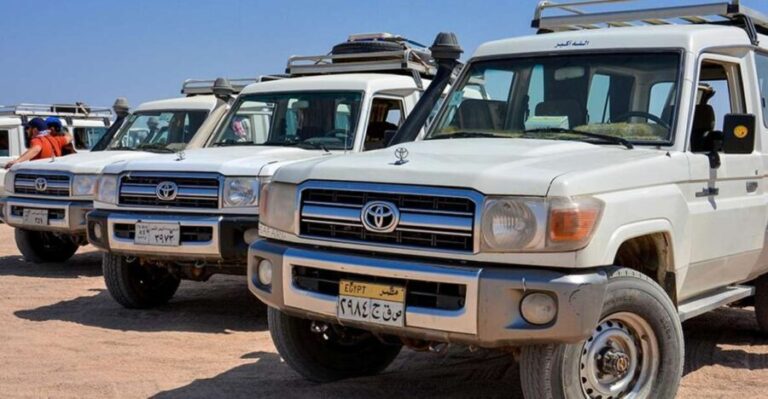 Hurghada: Safari Jeep, Buggy, Camel, Quad, Bedouin Dinner - The Off-Road Vehicles: Jeep, Buggy, and Quad