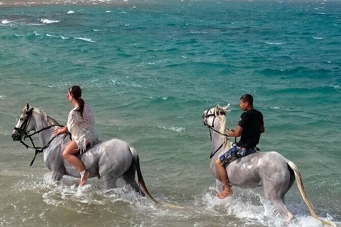Hurghada: Sea & Desert Horseback Riding, Stargazing, Dinner, Show - What to Expect from the Tour