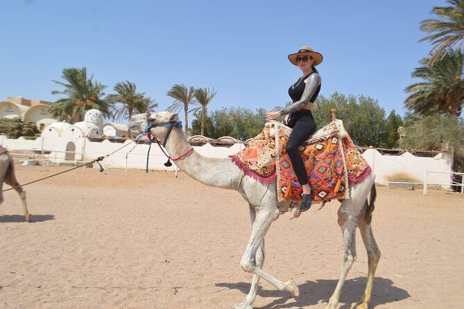 Hurghada: Stargazing, Camel Ride, Quad Bike, Bedouin Dinner, Show - Authenticity and Value: What Does This Tour Really Offer?