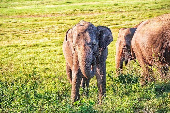 Hurulu Eco Park Private Safari - The Itinerary Breakdown
