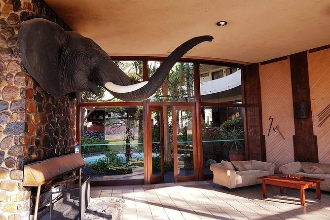 Hwange 3 day Safari - Day 2: Full Day of Game Drives and Wildlife Watching