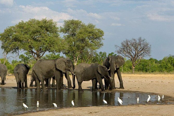 Hwange National Park 3 Days Package - Final Thoughts