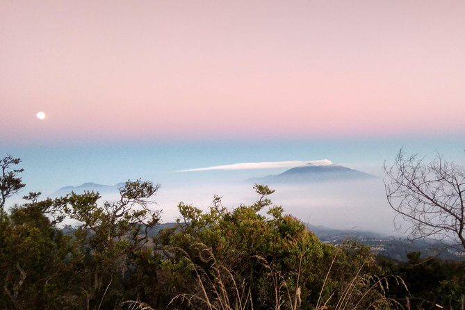 Ijen Crater Tour - What Travelers Love About This Tour