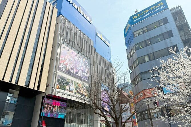 Ikebukuro Anime and Game Culture Experience Tour - Authentic Experiences and Real Traveler Perspectives