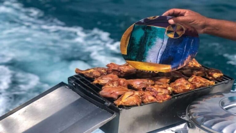 ile aux Benitier: Tour with dolphin watch & lunch - Who Will Love This Tour?